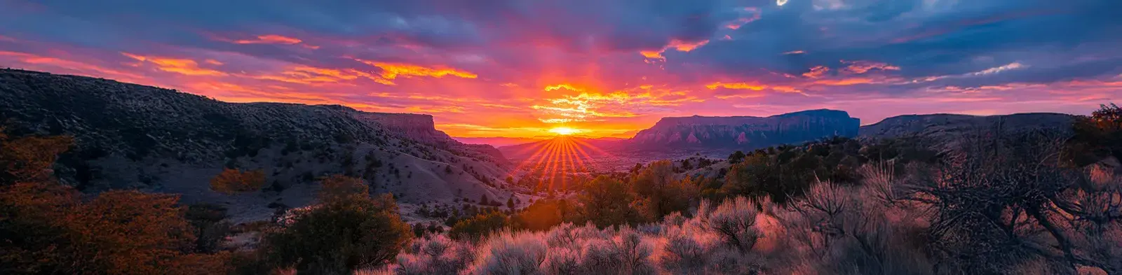New Mexico